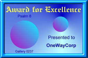 Gallery 0237 Award For Excellence
